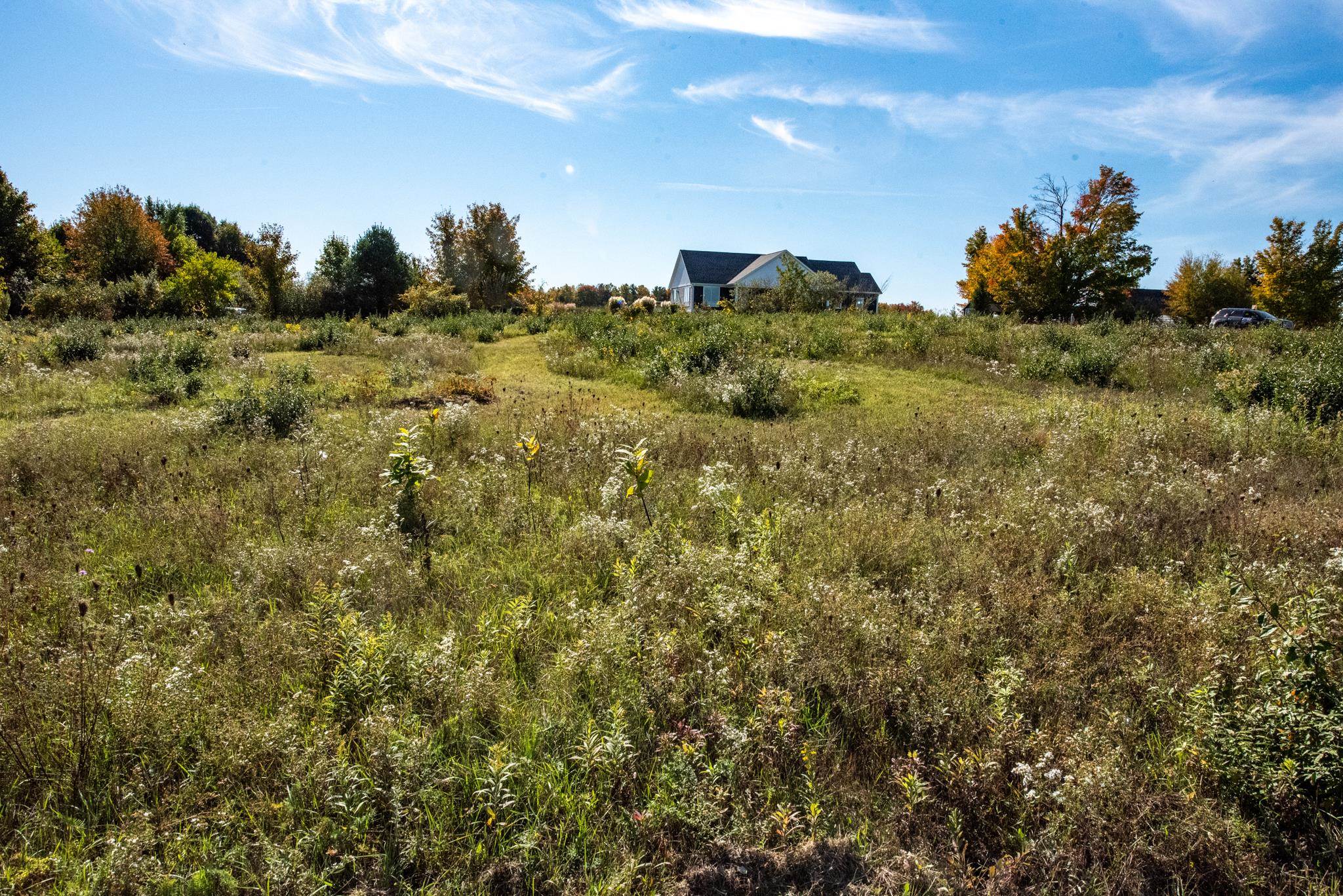 Lot 9 Elk Vista Court Property Photo 7