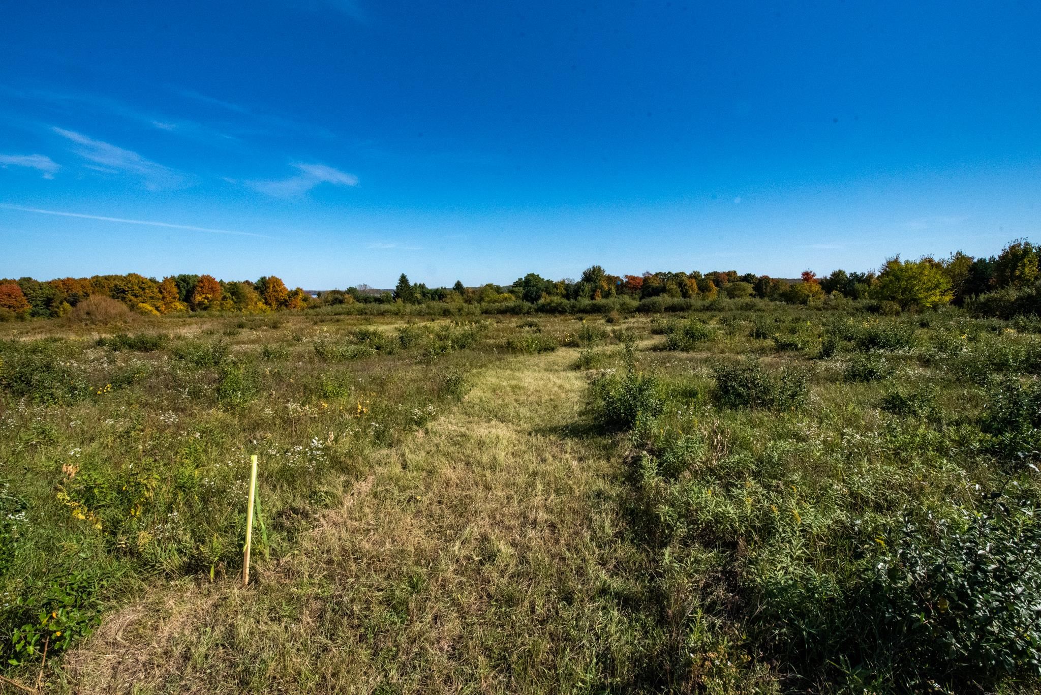 Lot 9 Elk Vista Court Property Photo 8