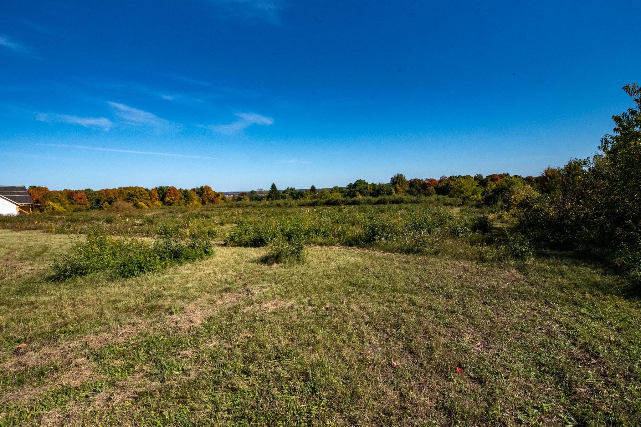 Lot 9 Elk Vista Court Property Photo 9