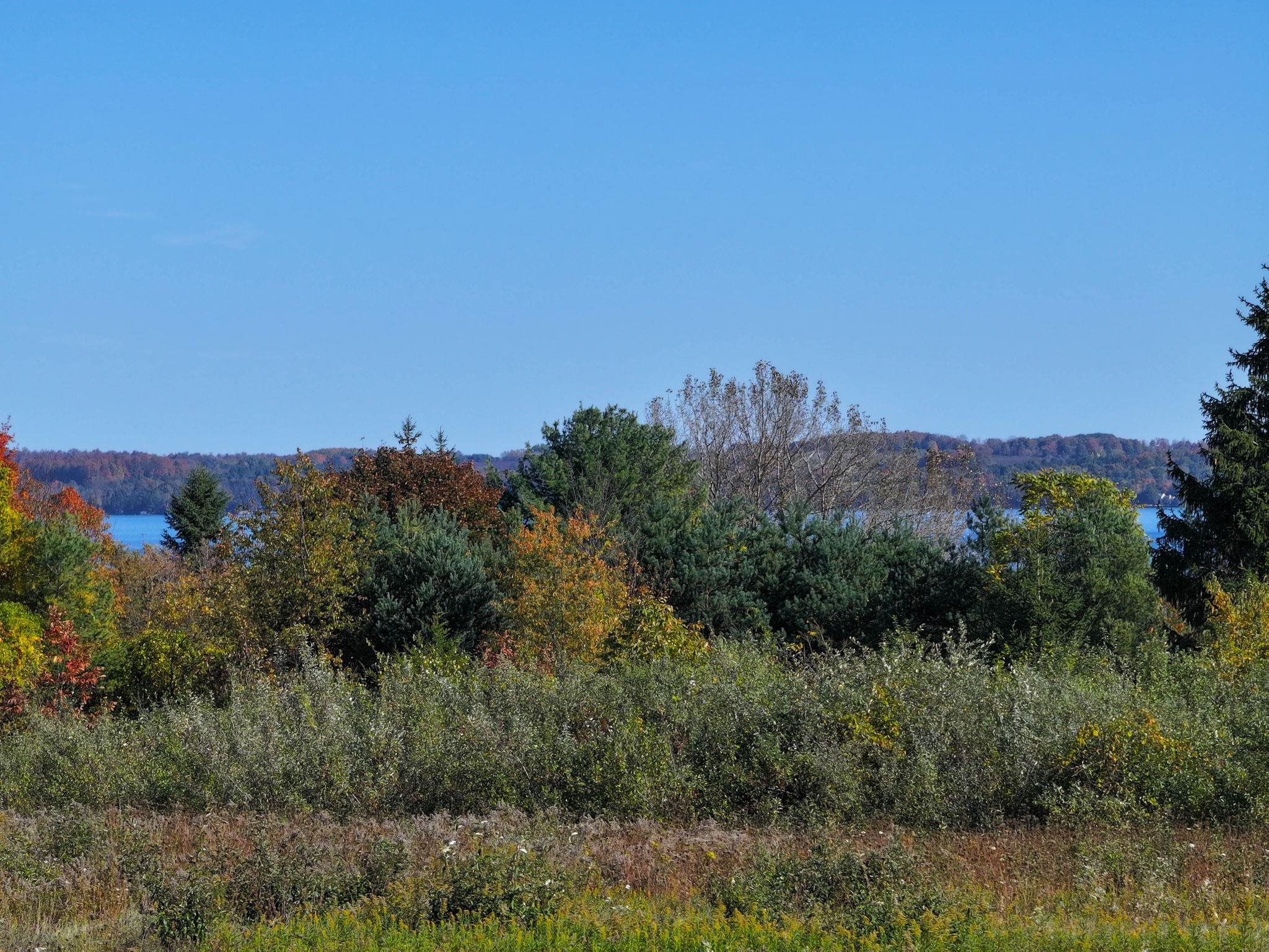 Lot 9 Elk Vista Court Property Photo 15
