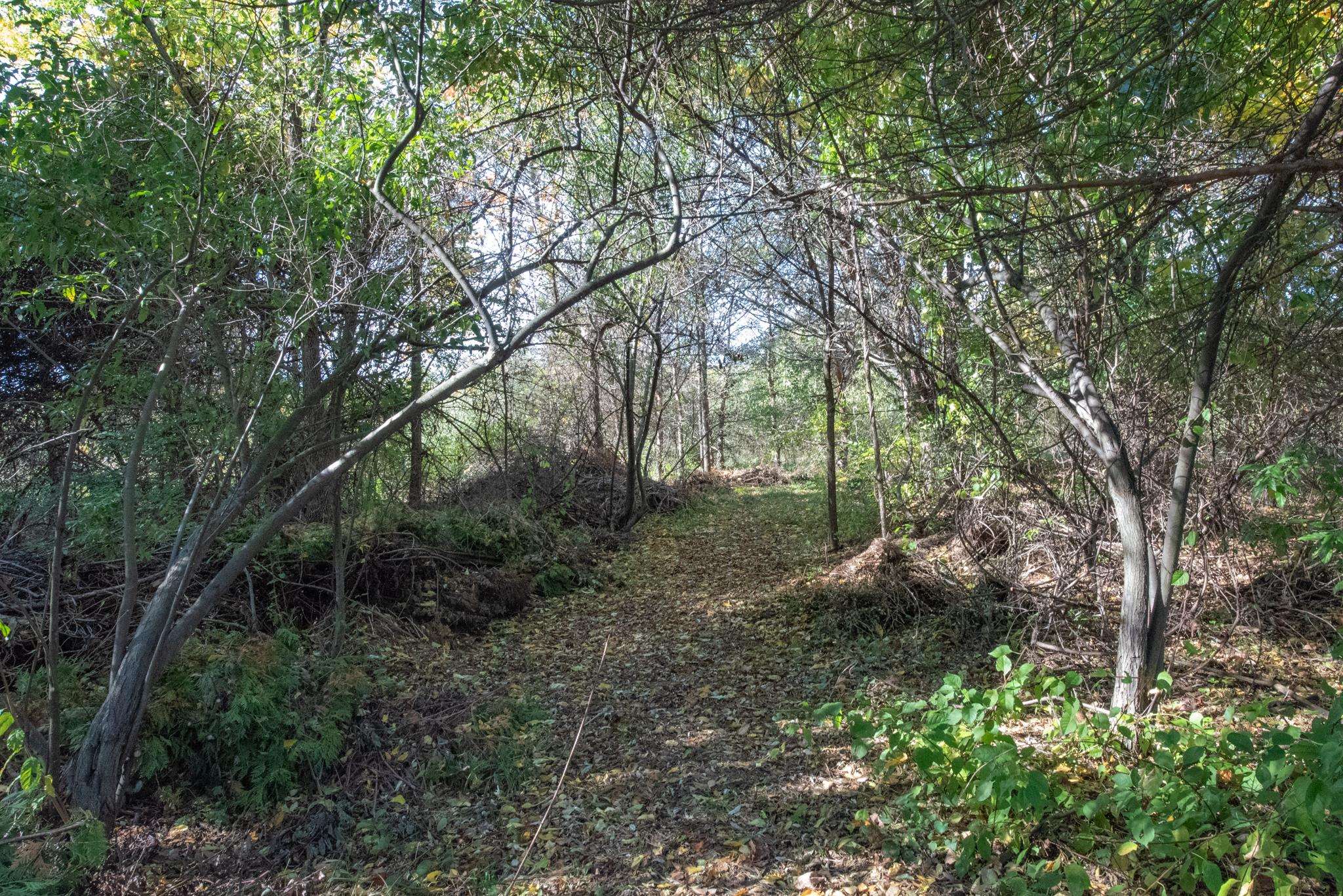Lot 9 Elk Vista Court Property Photo 22