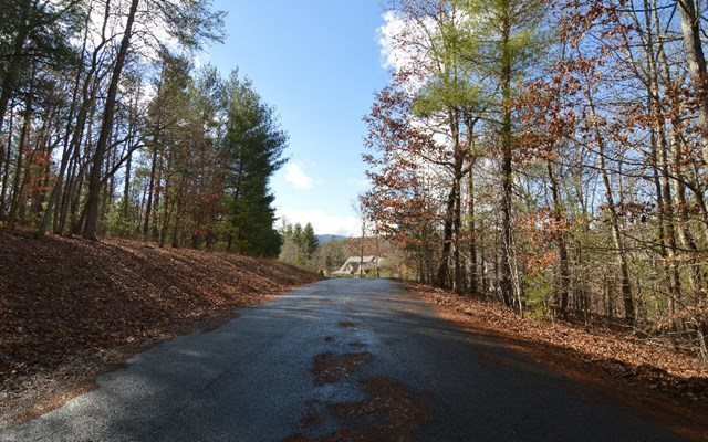 Lot 26 Coosa Bend Property Photo 1