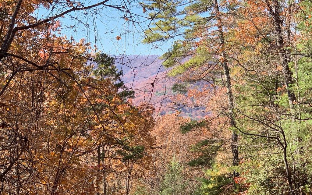 Lot 49 Fires Creek Cove Property Photo 1