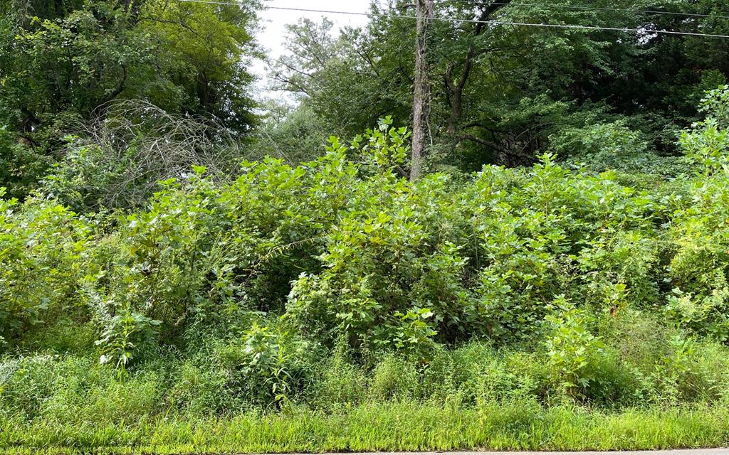 Fred Rhindhardt Subdivision Real Estate Listings Main Image
