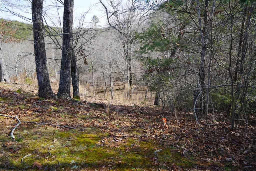 Lt 14 Highland Creek Estates Property Photo