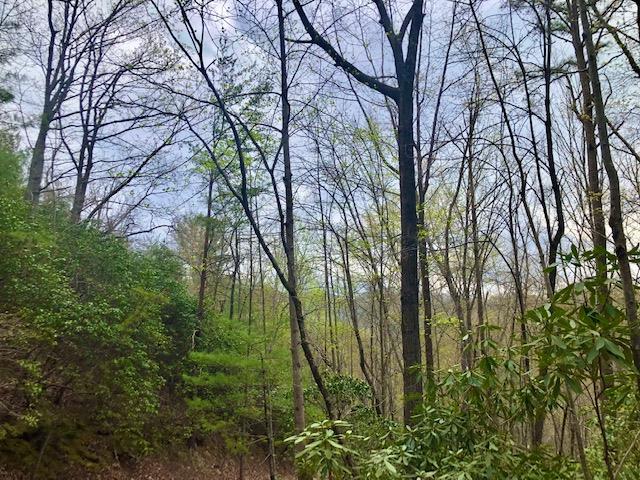 00 Carpenter Hollow