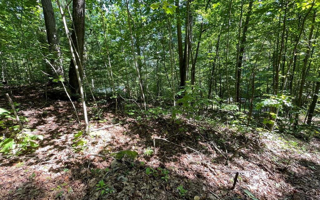 Eagle Heights Real Estate Listings Main Image