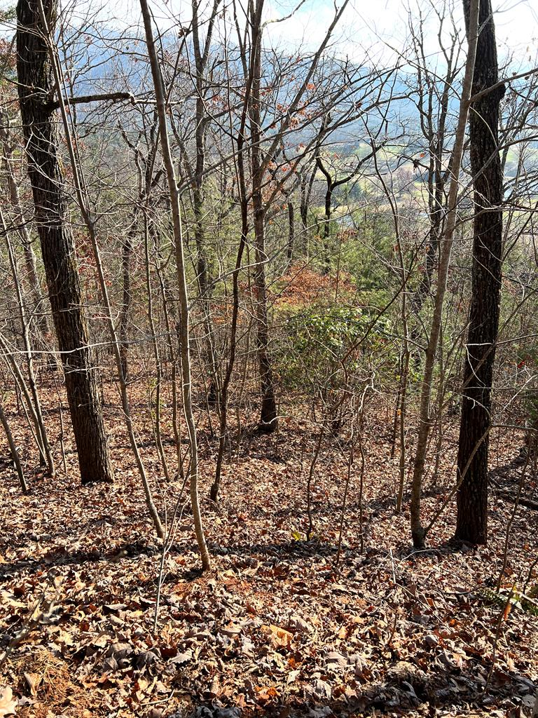 Lot 56C Indian Trail Property Photo 1