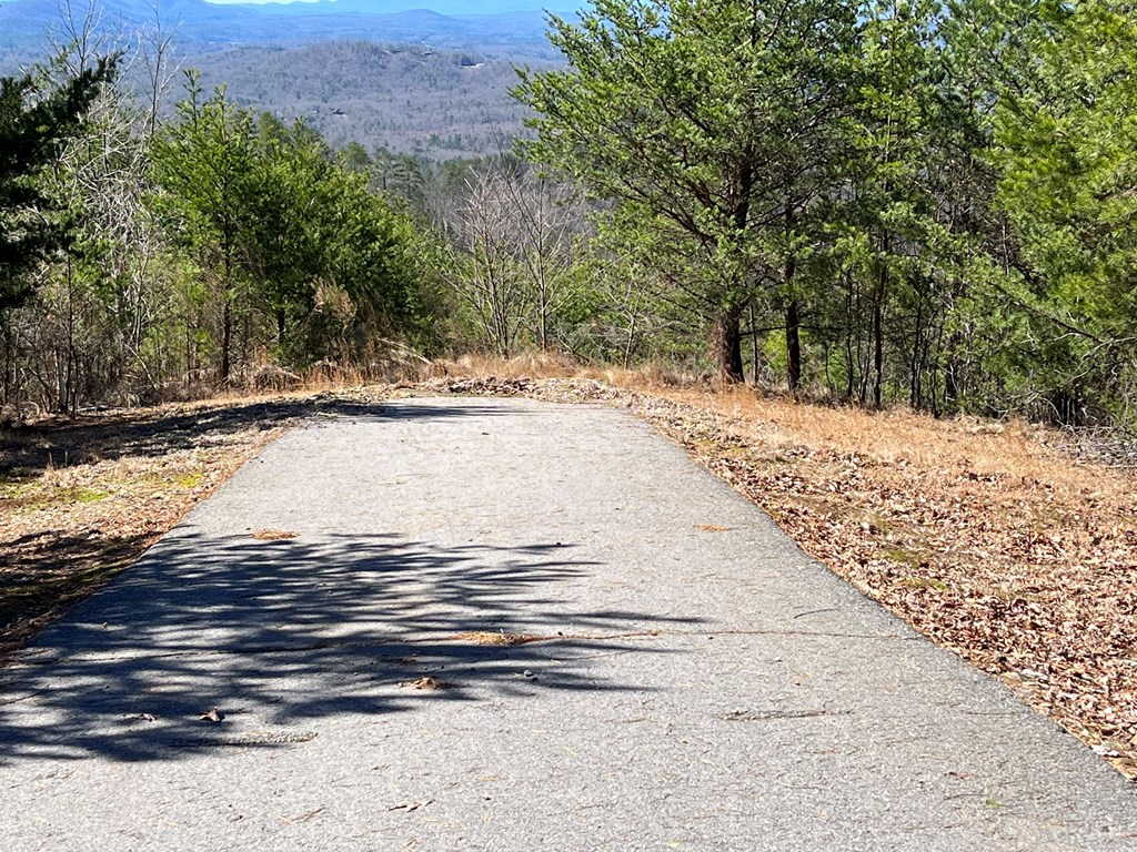 Lot 21 Patriot Ridge Property Photo 2
