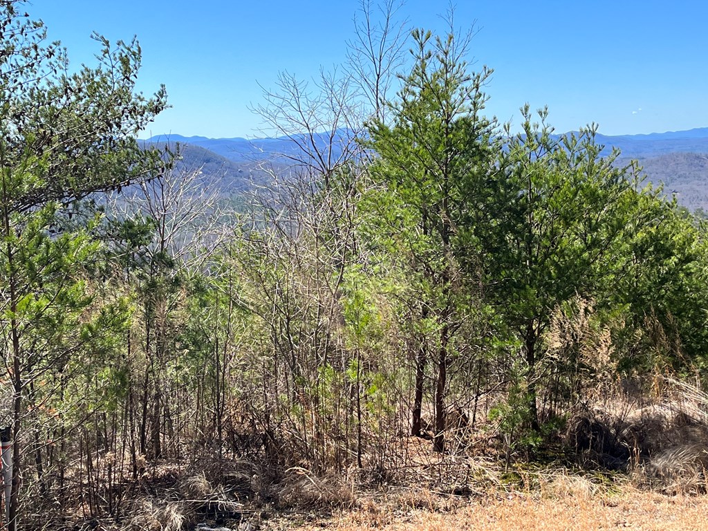 Lot 21 Patriot Ridge Property Photo 3