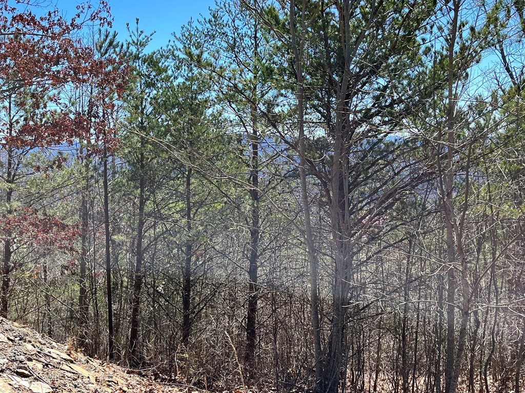 Lot 21 Patriot Ridge Property Photo 4