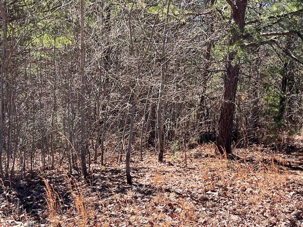 Lot 21 Patriot Ridge Property Photo 5
