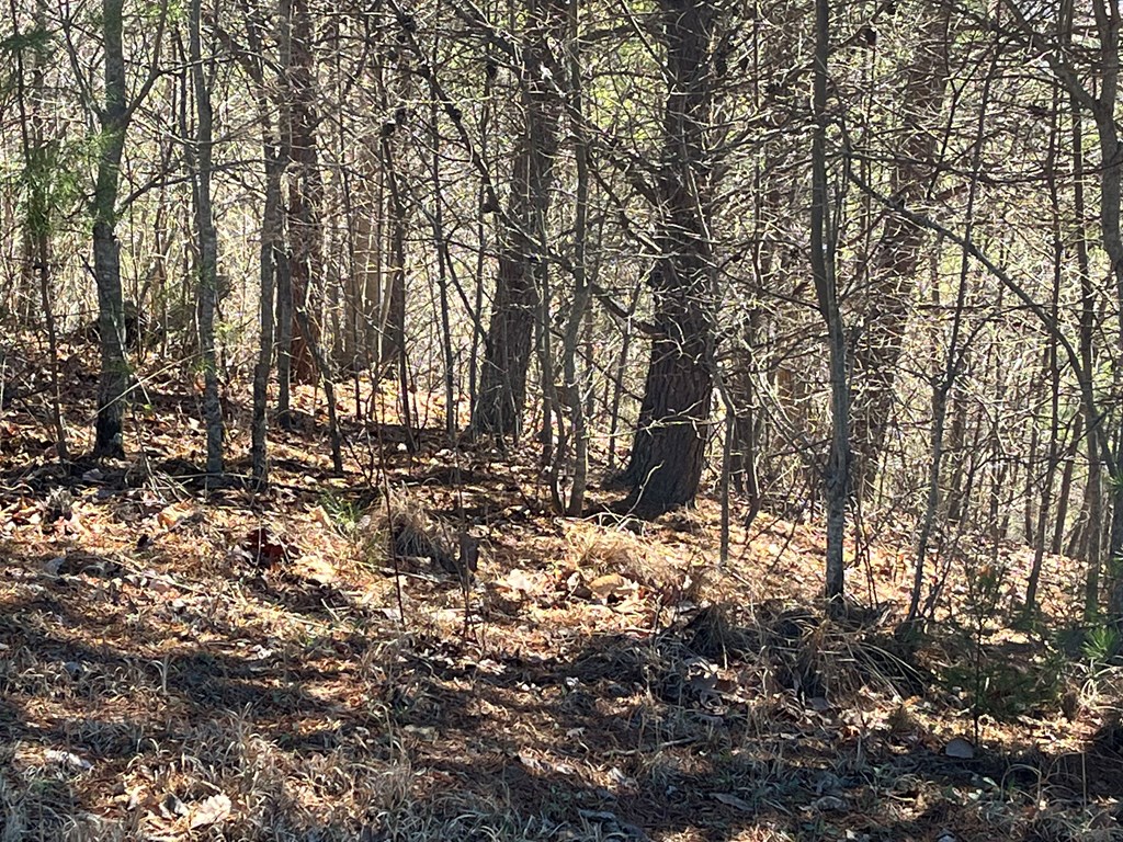 Lot 21 Patriot Ridge Property Photo 6