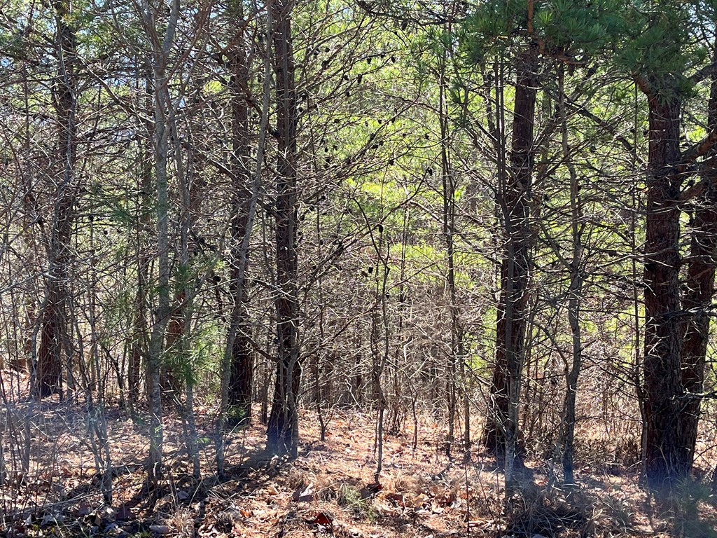 Lot 21 Patriot Ridge Property Photo 7