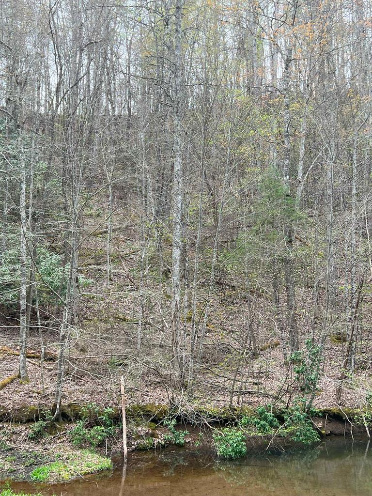 Lot 13 Hidden Lake Road Property Photo 1