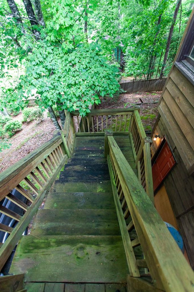 99 Bow Lane Property Photo 60