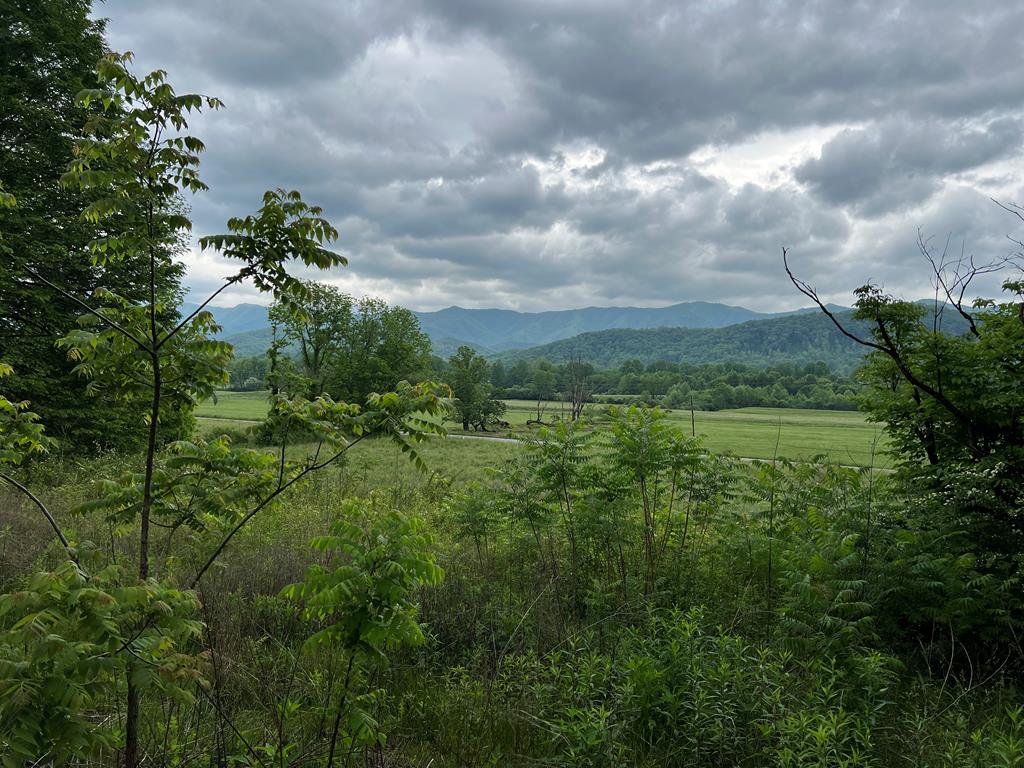 6387 Airport Road Property Photo
