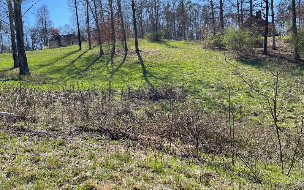 Lot 16 Pleasant Meadows Property Photo 1