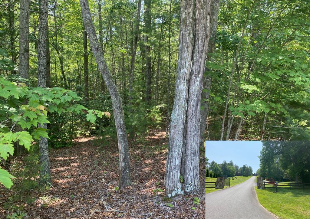 Lot 34 Point Overlook Trail