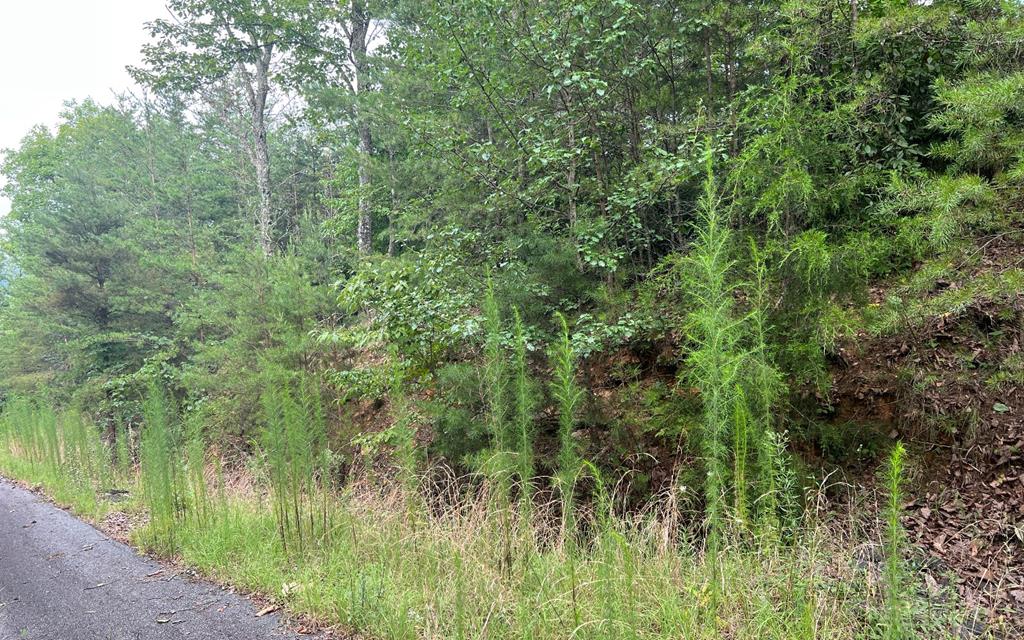 Lot 8 The Preserve Property Photo 1