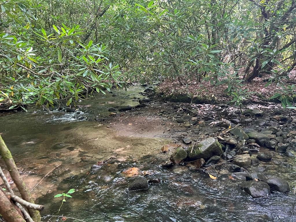 000 Cross Creek Rd Property Photo