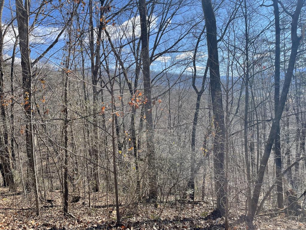 Lot 37C Ash Branch Circle Property Photo 1