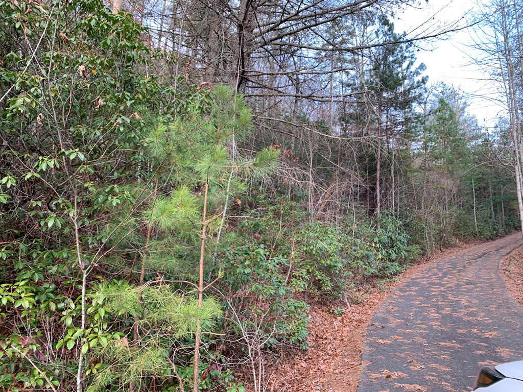 00 Bear Creek Junction Property Photo