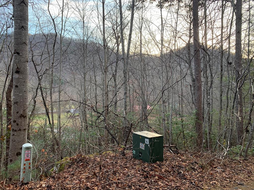 Lot6&7 Bear Creek Junction Property Photo