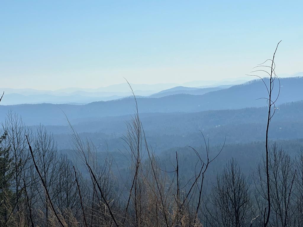 Lot 85 Vance Mountain Tr Property Photo 1