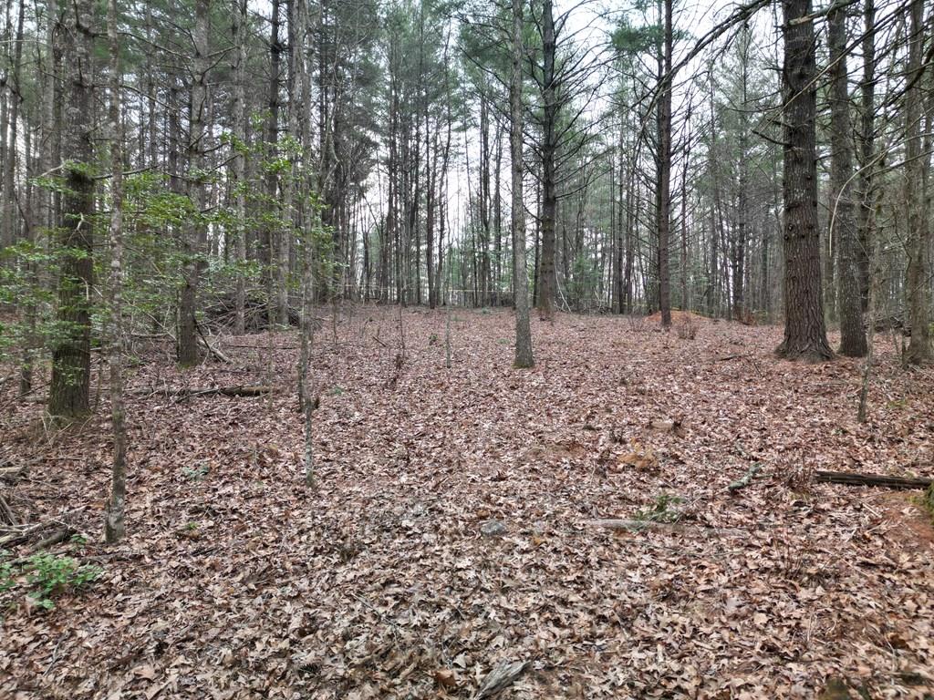Tbd Liberty Road Property Photo 1