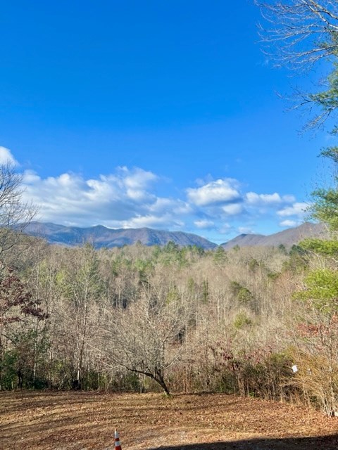 120 Hillside Terrace Property Photo 34