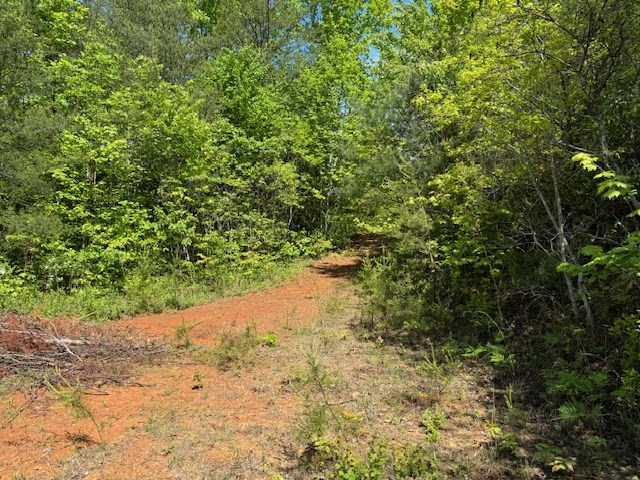 Lot 11 Paradise Mountain Property Photo 2