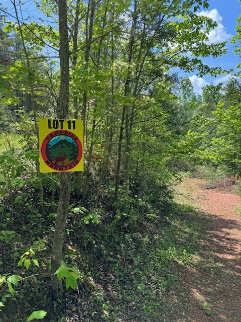Lot 11 Paradise Mountain Property Photo 6