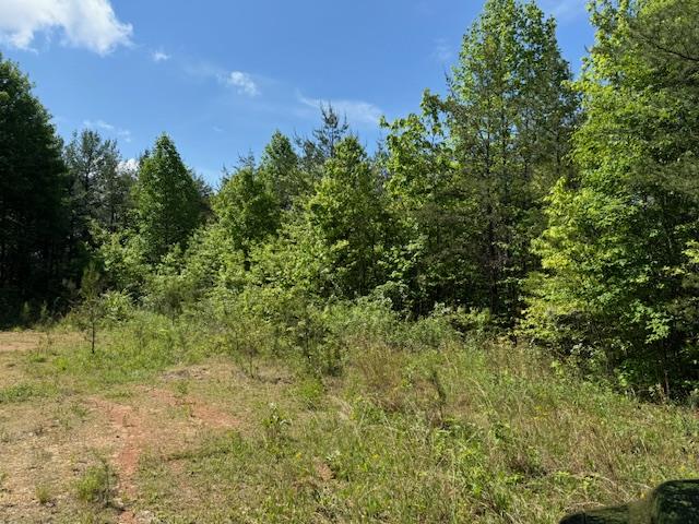 Lot 13 Paradise Mountain Property Photo 1