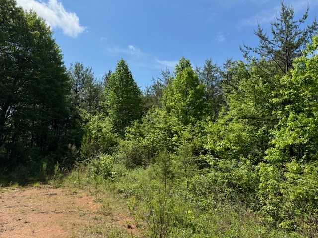 Lot 13 Paradise Mountain Property Photo 2