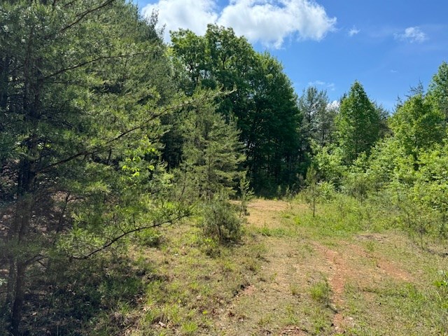 Lot 13 Paradise Mountain Property Photo 4