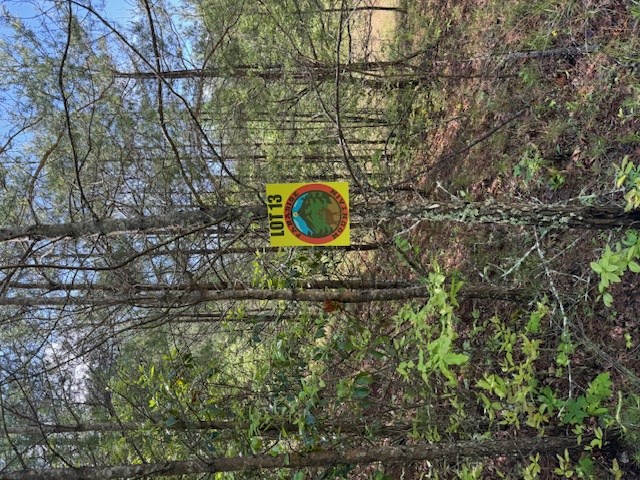 Lot 13 Paradise Mountain Property Photo 5