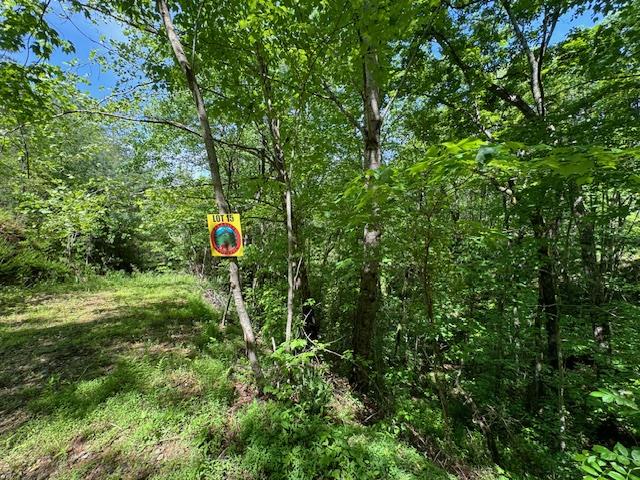 Lot 15 Paradise Mountain Property Photo 1