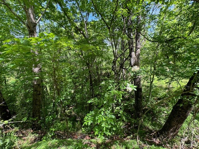 Lot 15 Paradise Mountain Property Photo 4