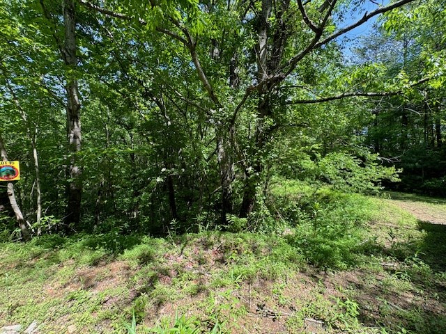 Lot 15 Paradise Mountain Property Photo 5