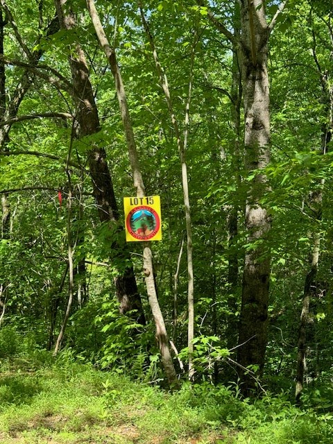 Lot 15 Paradise Mountain Property Photo 6