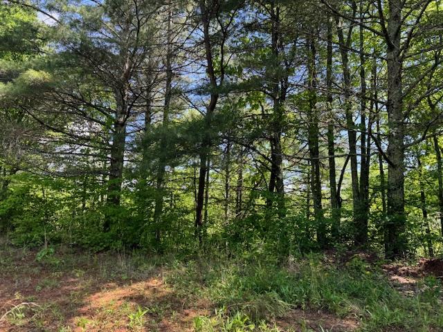 Lot 21 Paradise Mountain Property Photo 1