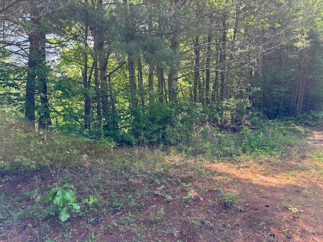 Lot 21 Paradise Mountain Property Photo 2