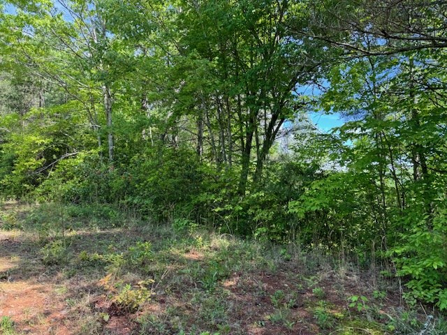 Lot 21 Paradise Mountain Property Photo 3