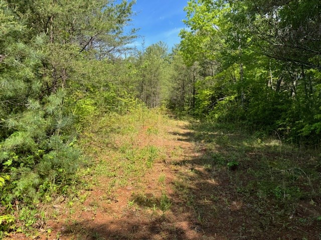 Lot 21 Paradise Mountain Property Photo 4