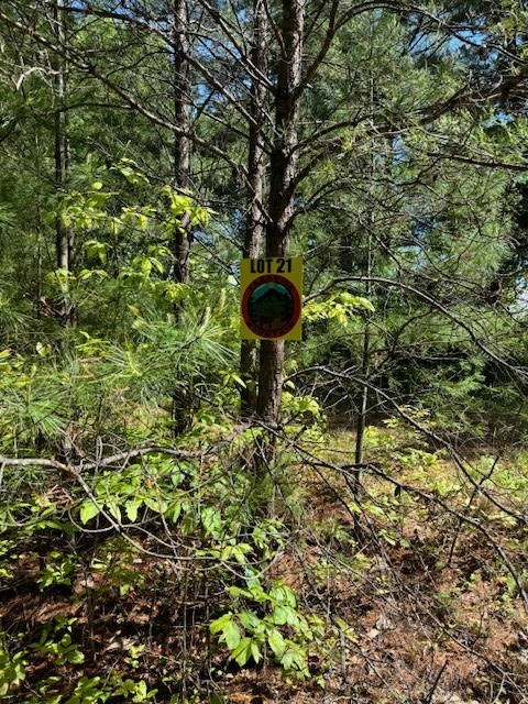 Lot 21 Paradise Mountain Property Photo 6