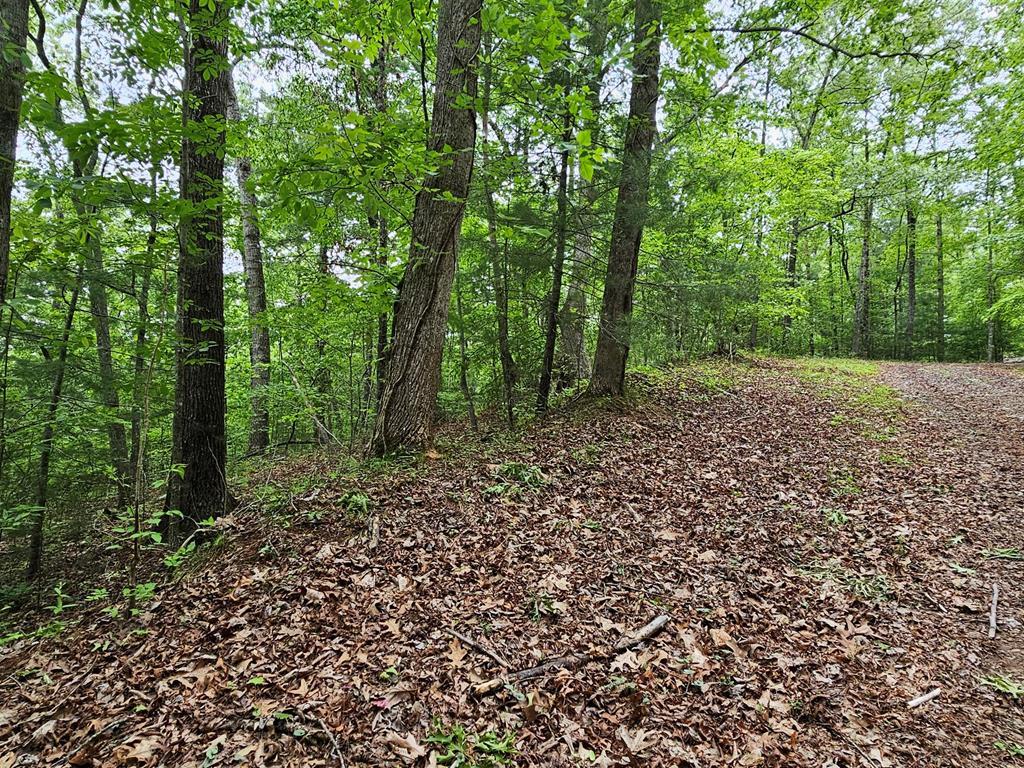6 Heather Lane Property Photo