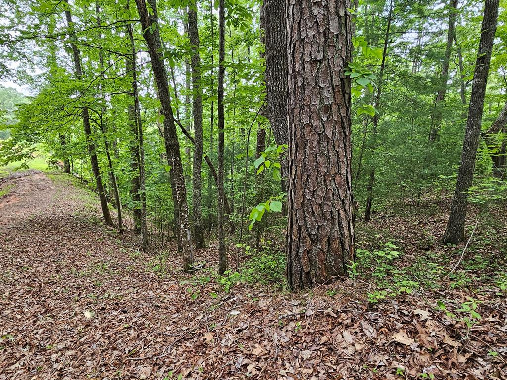 6 Heather Lane Property Photo 2