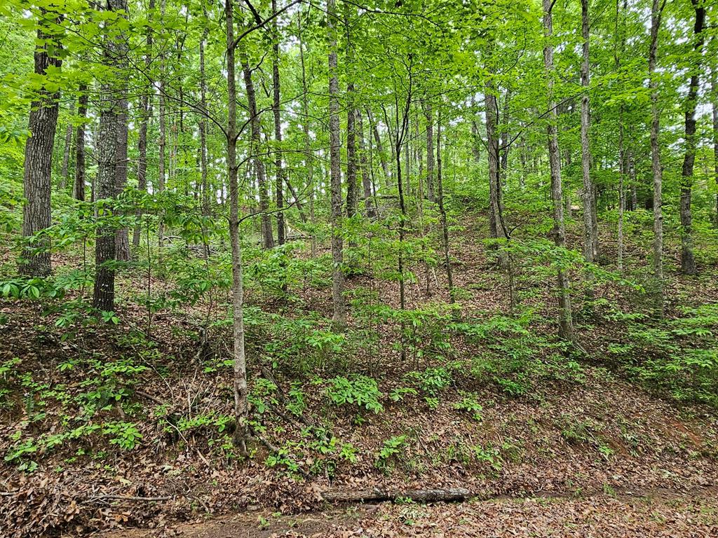 6 Heather Lane Property Photo 3