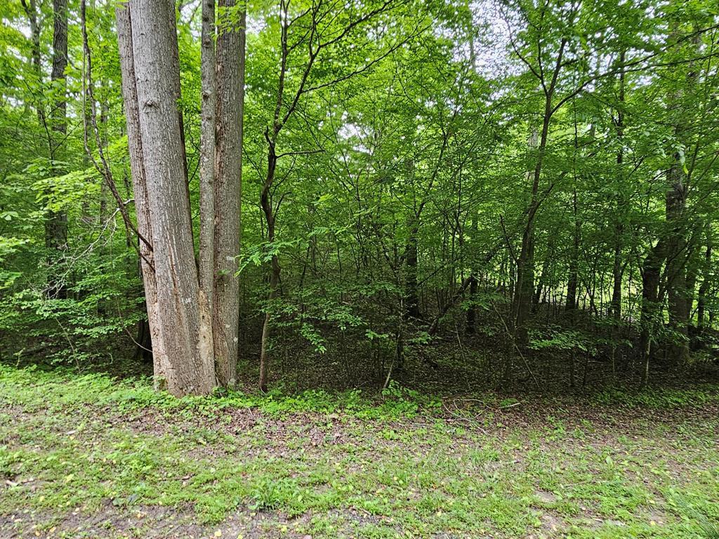 17 Lonesome Pine Property Photo